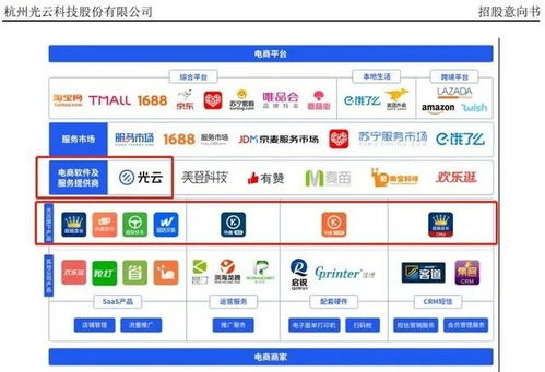 從“阿里系光環”到“全域賽道” SaaS第一股光云科技如何打破成長天花板？